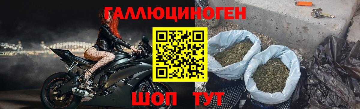 Реутов  Галлюциногенные грибы Psilocybine cubensis  Вход с VPN  Галлюциногенные грибы прущие грибы 